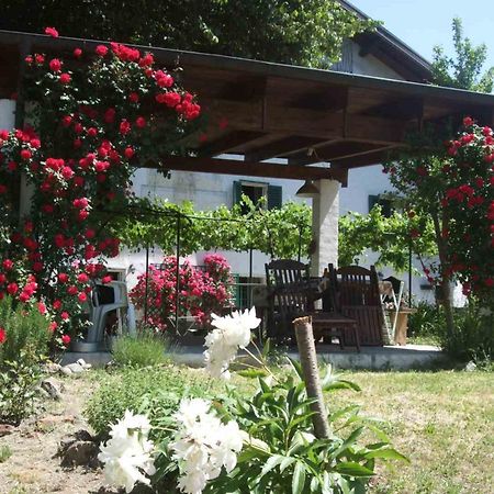 Casa Di Alfredo B&B Mioglia Exterior foto
